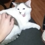 ВасёкНагибатор2010