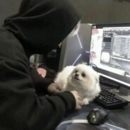 海的那边是敌人