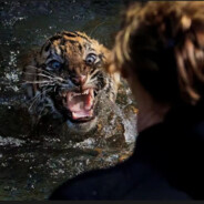 给个机会别补我