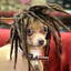 RASTA