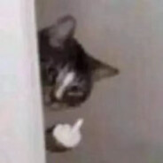 回幼儿园当学霸