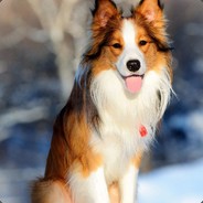 我知道你很急但别急