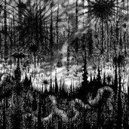 ω𝓸𝐨𝐝z 👽