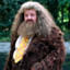 Rubeus Hagrid