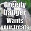 Greedy Badger