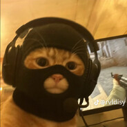 BuCacDiConDi