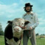 bonzo&#039;s cow