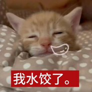 不要欺负我的黑眼圈