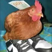 Galo Cego avatar