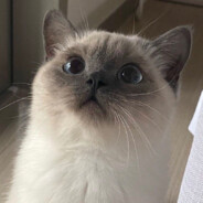 保护不了任何人的保安