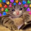 mittens