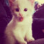 lkfsgshjs