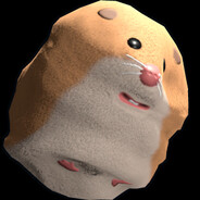 Hamster