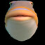 Fih