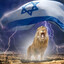 Israeli Lion