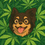 DOGDOIDO