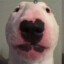o mai god ina night