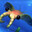 Anomalocaris