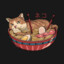 Andrey.Max