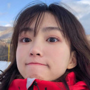 Helianthus annuus L.