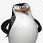 Skipper