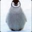 | Baby | Pingvin&#039;en