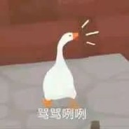 我的小帮手虽然很短，但很精悍