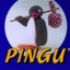 pingu