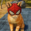 Spider_Cat98