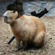 Rockdanne - steam id 76561199252001161