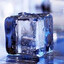 cold timko