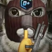 小猫不会玩野牛