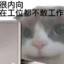卑微打工人