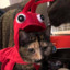 Lobstercat