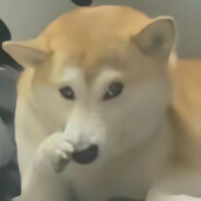 天天都要拉屎