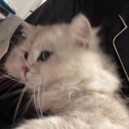 听说医院里面有B超