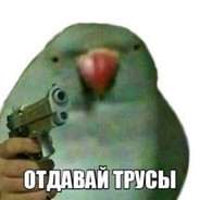 StatTrak™