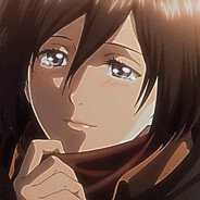 микаса-[R-Leg]