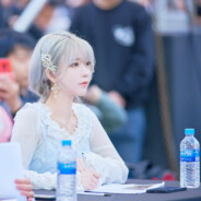 崩坏铁道·张作霖