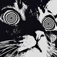 Gato