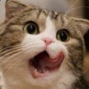 谁都不准在我的鱼塘里捕鱼