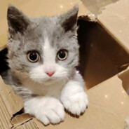 想吃什么自己做别管菜