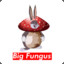 Big Fungus