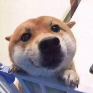 休想乱朕的道心