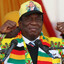 ZANU-PF patriot