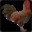 Rooster