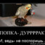 Попка попугая