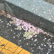 牛魔王夜袭子母河