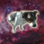 Dog in Space