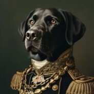 Bolt9 avatar